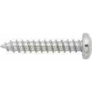 Pan-Head Torx Screw, #4-20x.62